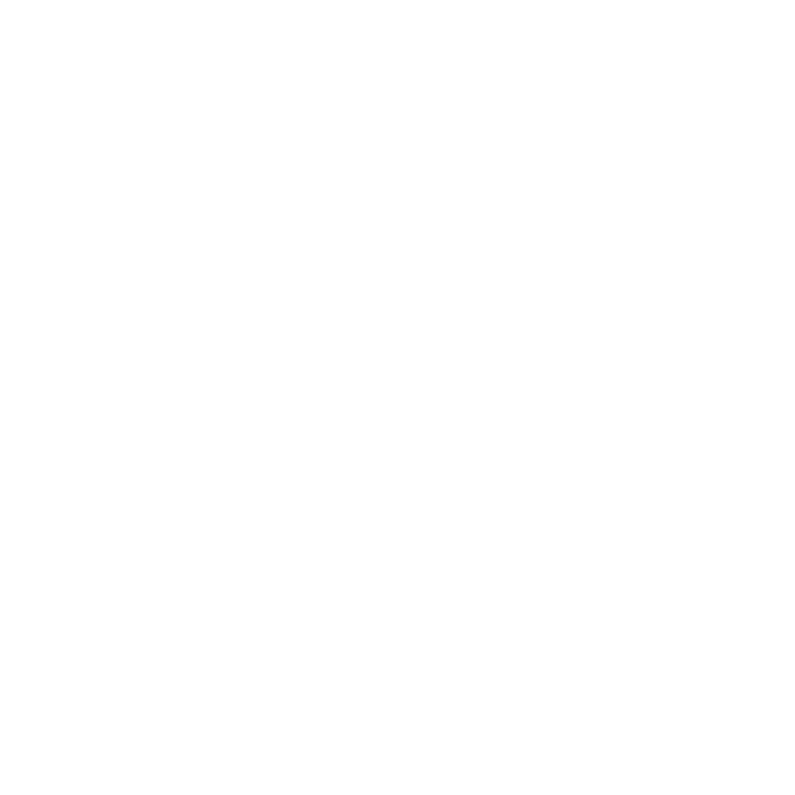 AAC-Logo_2022 - WHITE